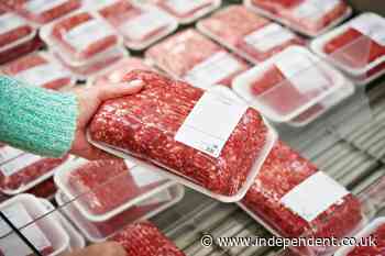 Australian authorities hit back over claims of horse meat found in food