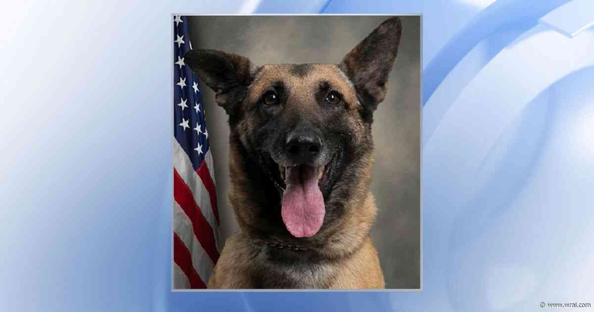 K9 Chilli was left in hot car unintentionally, Pitt County Sheriff's Office says in report