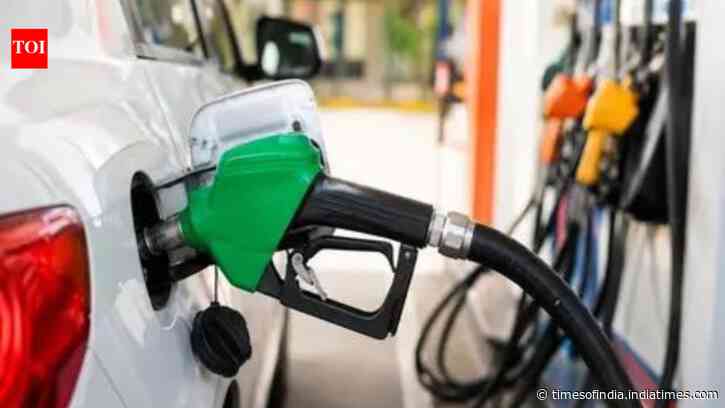 Can using E20 petrol lead to insurance claim rejection? What the government said