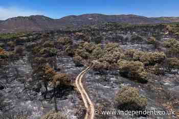Europe is on fire - will the continent’s climate change deniers finally wake up?