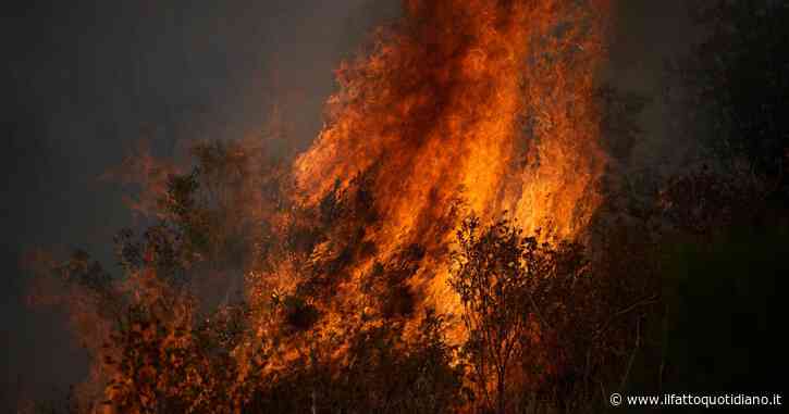 Incendi in Francia: in Gironda evacuati quattromila turisti. Nella regione di Bordeaux distribuite 3,5 milioni di mascherine