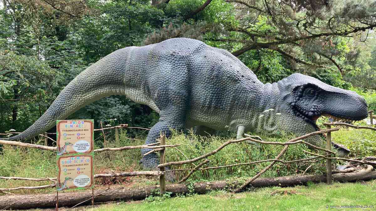 Kids can go to a huge Welsh attraction for just 87p this summer
