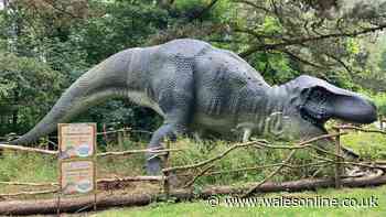 Kids can go to a huge Welsh attraction for just 87p this summer