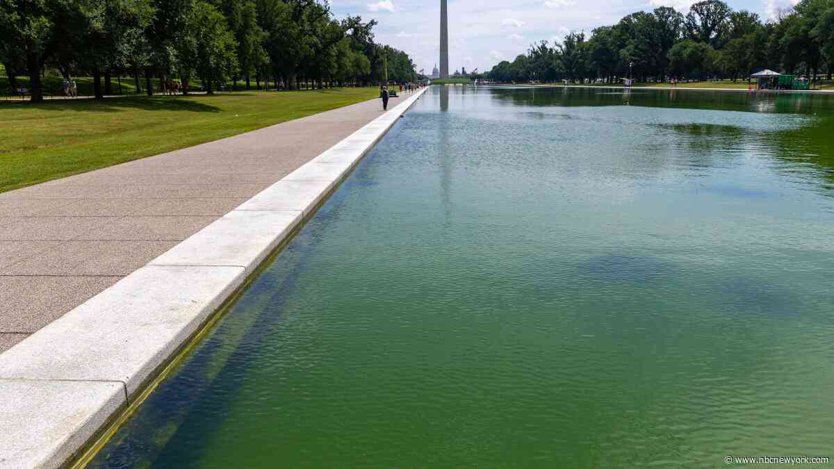 Ex-Olympian in Reflecting Pool case says grand jury irregularities tainted prosecution