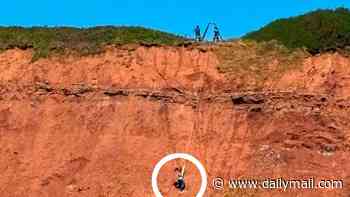Cockapoo has miraculous escape after falling off 170ft cliff onto tiny ledge