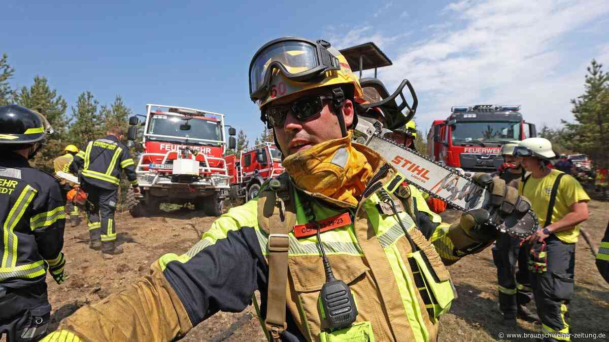 Waldbrand-Gefahr in Heide und Harz steigt: Was man auf gar keinen Fall tun sollte