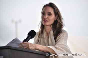 Angelina Jolie among public figures calling for refugee protections to be upheld