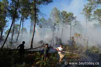 France evacuates 4,000 people as heat threatens wildfire fight across southwestern Europe