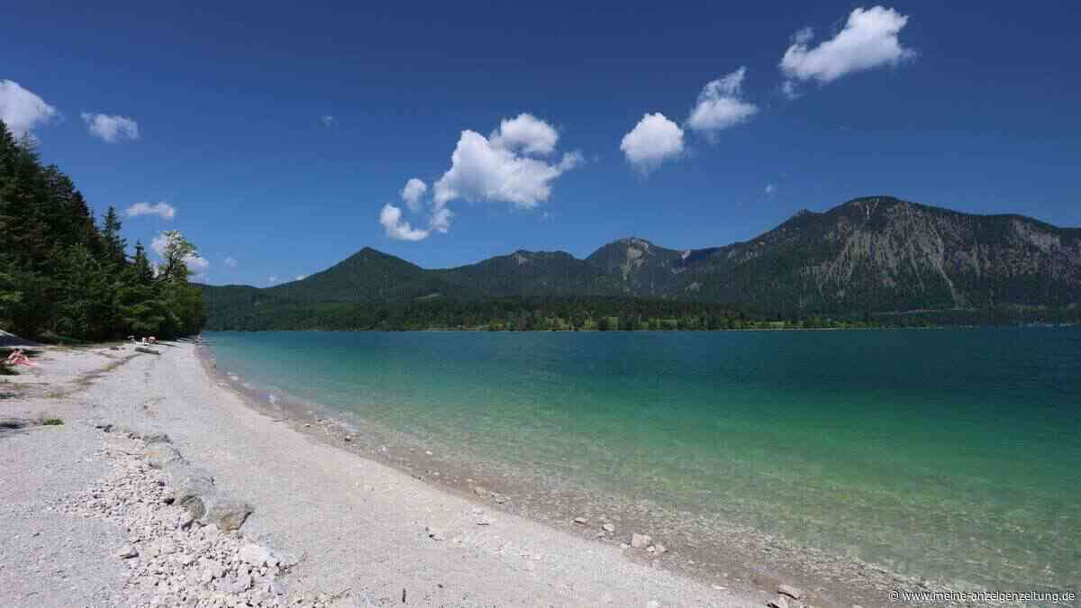 Familienausflug mit dem Rad: Badeseen, schattige Waldwege und mehr entdecken