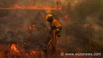 Spain wildfires leave destruction across Ávila province