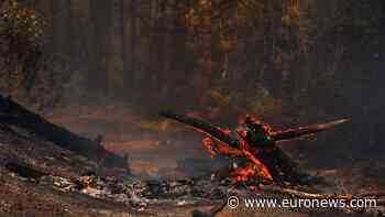 Thousands evacuated as wildfire spreads in southwestern France