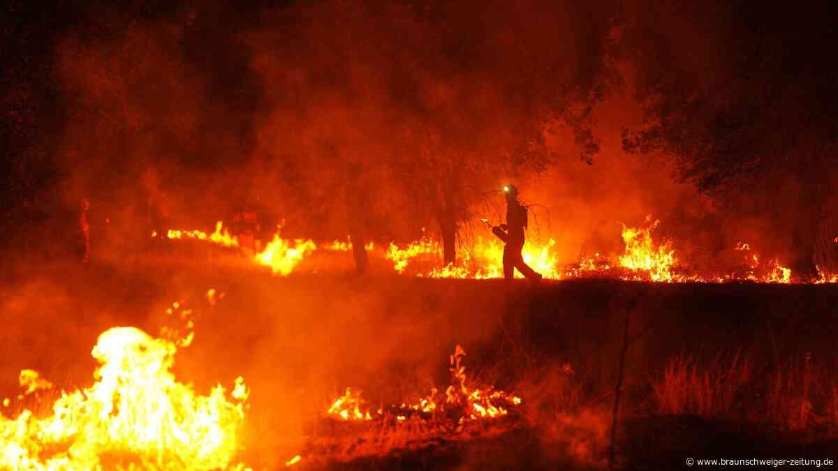Brandstiftung oder Blitzschlag? So entstehen verheerende Waldbrände