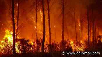 How wildfire smoke could be putting YOUR heart at risk, even if it's HUNDREDS of miles away. Damage can start within days. These are the risks you must know