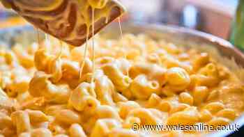 Macaroni cheese will be tastier if you follow Mary Berry’s simple rule before cooking it