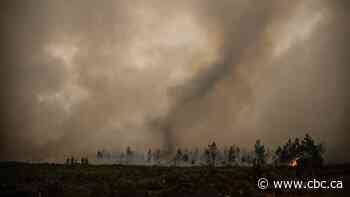 Wildfires and extreme heat are wreaking havoc on wine regions from Bordeaux to B.C.