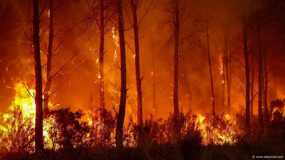 How wildfire smoke could be putting YOUR heart at risk, even if it's HUNDREDS of miles away. Damage can start within days. These are the risks you must know