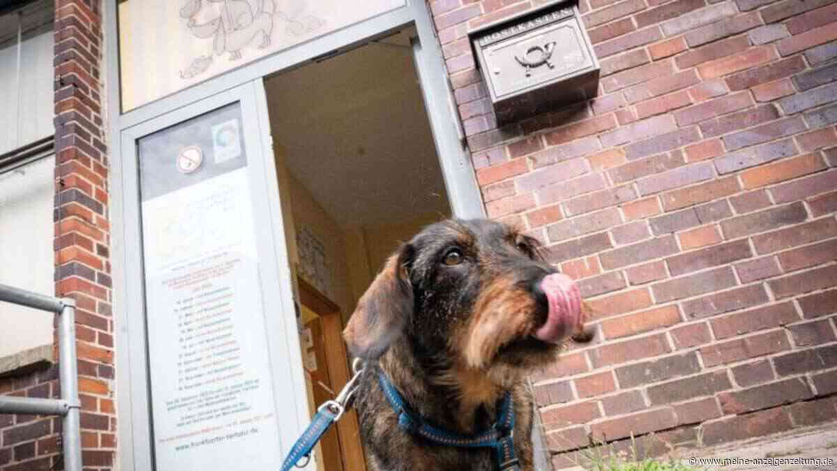 Tierfutter-Rückruf: Wie sich Haustierbesitzer am besten schützen
