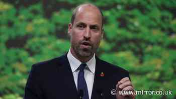 Prince William warns 'devastating' wildfires are 'stark reminder' of extreme climate