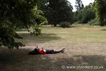 Royal Parks staff take precautions as the UK braces for scorching conditions