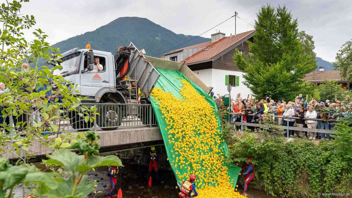 Entenrennen in Tegernsee bringt 25.000 Euro für DLRG und Schulen