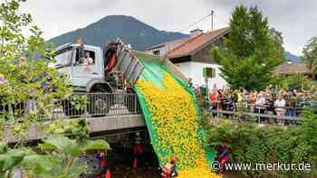 Entenrennen in Tegernsee bringt 25.000 Euro für DLRG und Schulen