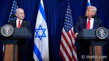 Netanyahu to meet Trump amid growing pressures in US, Israel 