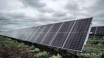 Alberta’s renewable energy industry still recovering from 2023 decline, experts say
