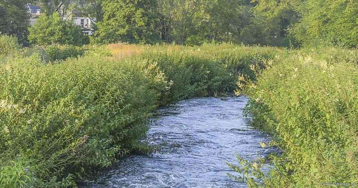 Wasserentnahme im Kreis Bamberg aktuell verboten - Pegel "sehr niedrig"