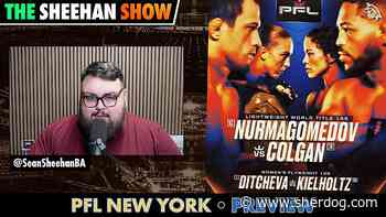 PFL New York preview | The Sheehan Show
