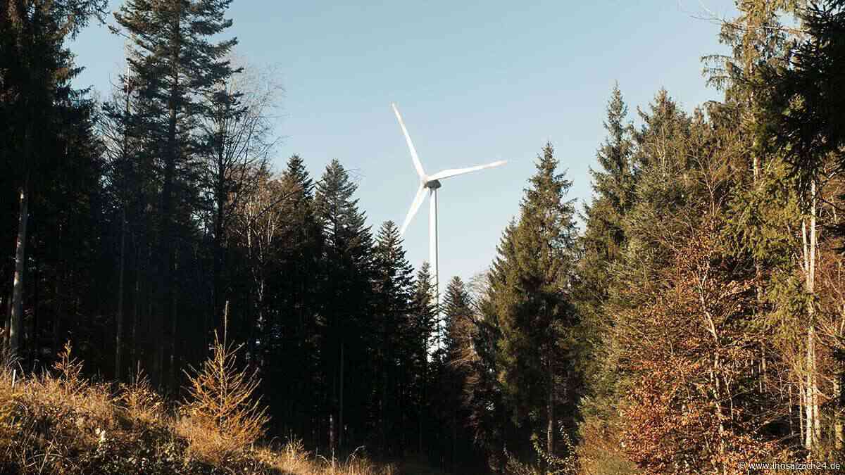 Isen erhält Bürger-Windräder: Genossenschaft bekommt Zuschlag der Bayerischen Staatsforsten