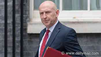 New Chancellor John Healey drafts in Jack Straw's son - a top Remainer - as his chief of staff