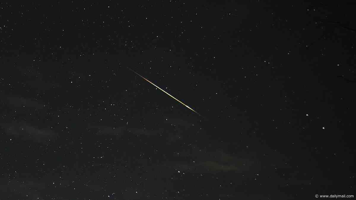 Look up this week! TWO meteor showers will peak on the same night - with up to 30 shooting stars every hour