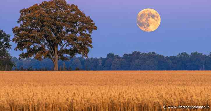 Luna Piena del Cervo del 29 luglio 2026, è la più potente dell’estate: ecco perché si chiama così e i suoi effetti sui 4 segni zoadiacali più coinvolti