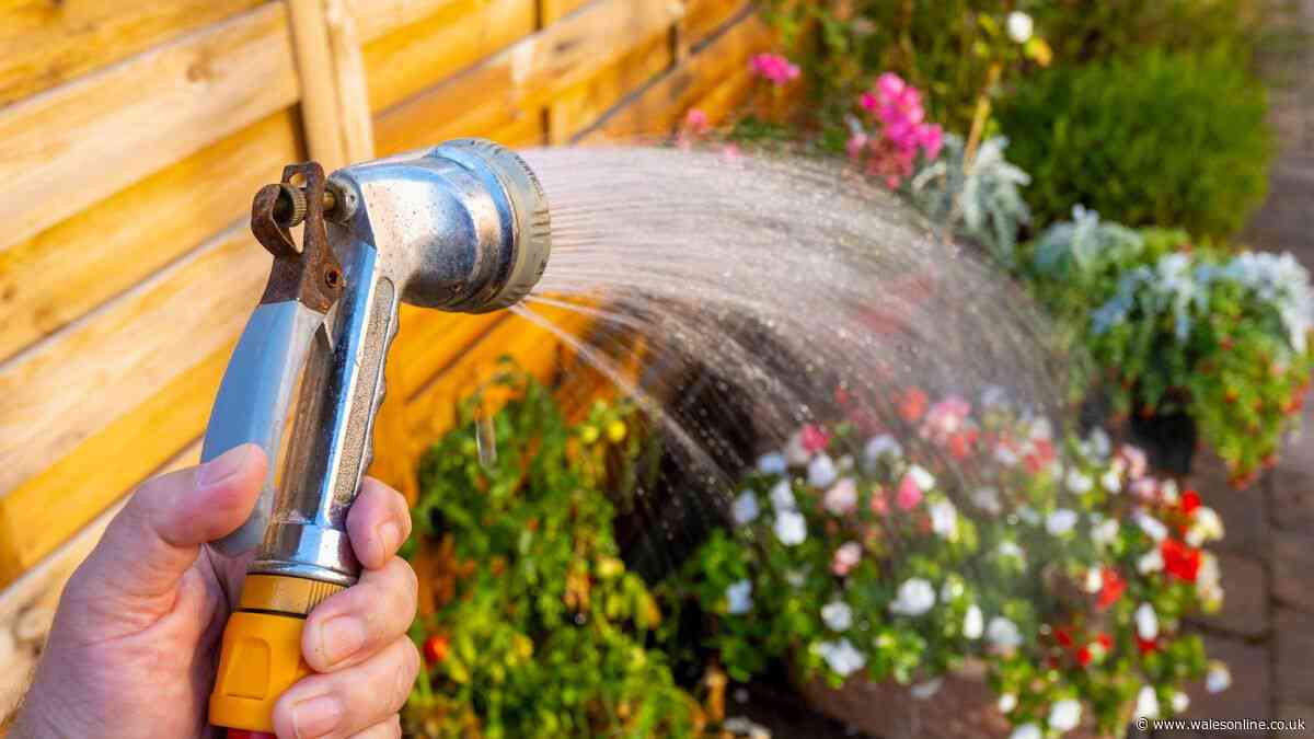 What to do if your neighbour is breaking hosepipe ban by watering garden?