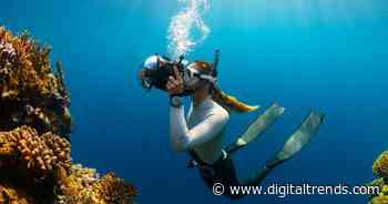 AI can turn a cloud of scuba bubbles into an early warning for divers
