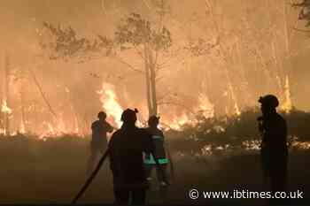 'We Are at War with an Enemy': Firefighters Describe 'David v Goliath' Battle Against Europe's Mega-Blazes