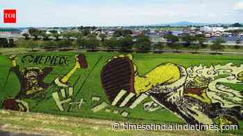 This Japanese village hides giant artworks in its rice fields: They only emerge every summer