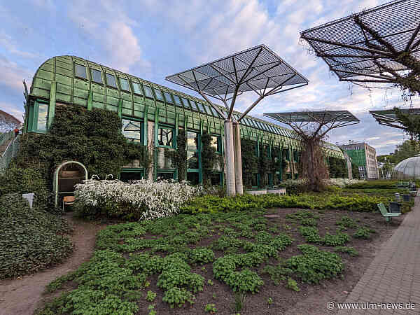 Innovationsregion Ulm erhält Landesförderung für Bioökonomie