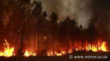 France wildfires spark 300,000 evacuations as locals say devastation 'is like Pompeii'
