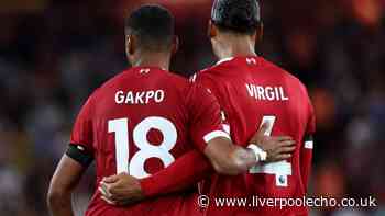 Virgil van Dijk and Cody Gakpo return to Liverpool training as pre-season plan takes shape