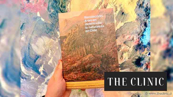 Arte ecológico en Chile: el libro que mapea dos siglos de creación y defensa de la naturaleza