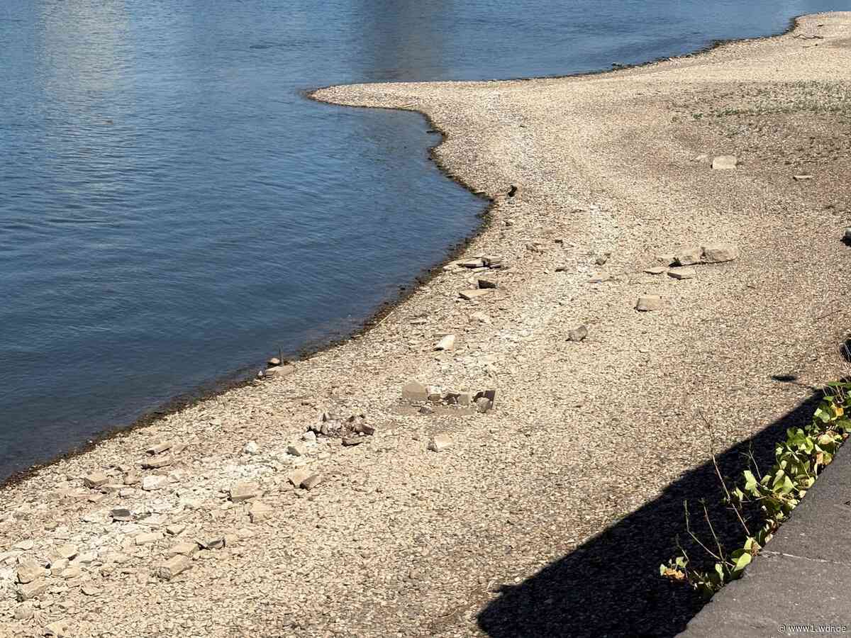 Niedrigwasser bei Kölner Lichtern: Fällt Konvoi aus?