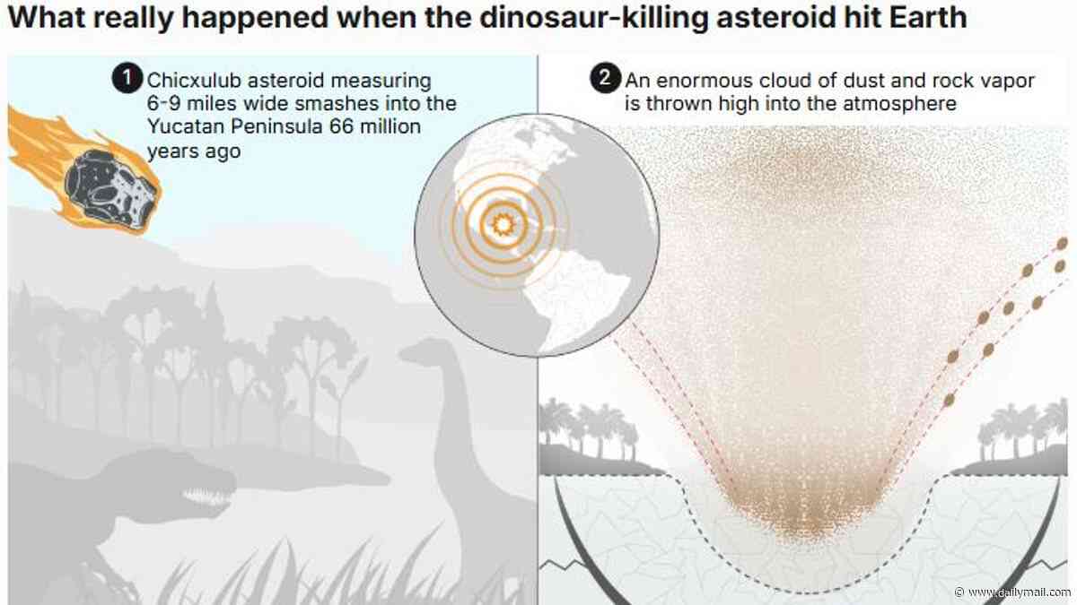 What really happened when the dinosaur-killing asteroid hit Earth: Worldwide fires incinerated most animals within HOURS - before a global winter wiped out any survivors, study finds