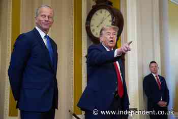 John Thune leads Republican revolt over Trump demanding Senate cancel summer break for him