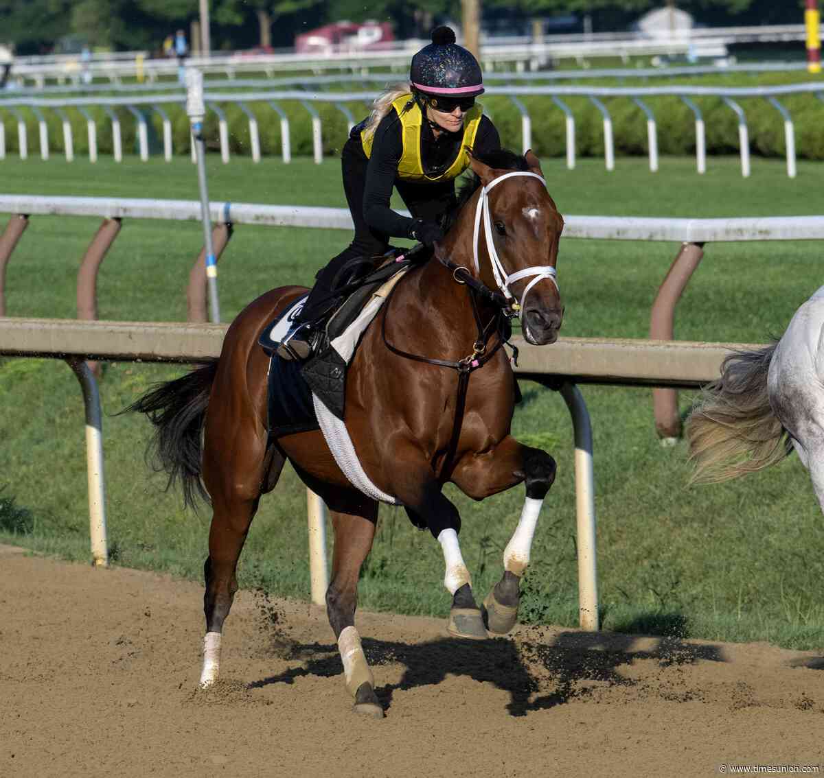Renegade or Commandment? Someone else? Here's why each horse could win the 2026 Jim Dandy