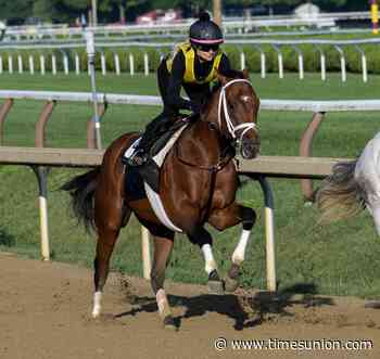 Renegade or Commandment? Someone else? Here's why each horse could win the 2026 Jim Dandy