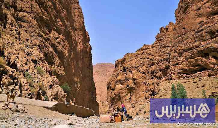 تفاصيل جديدة لموجة الحر بالمملكة