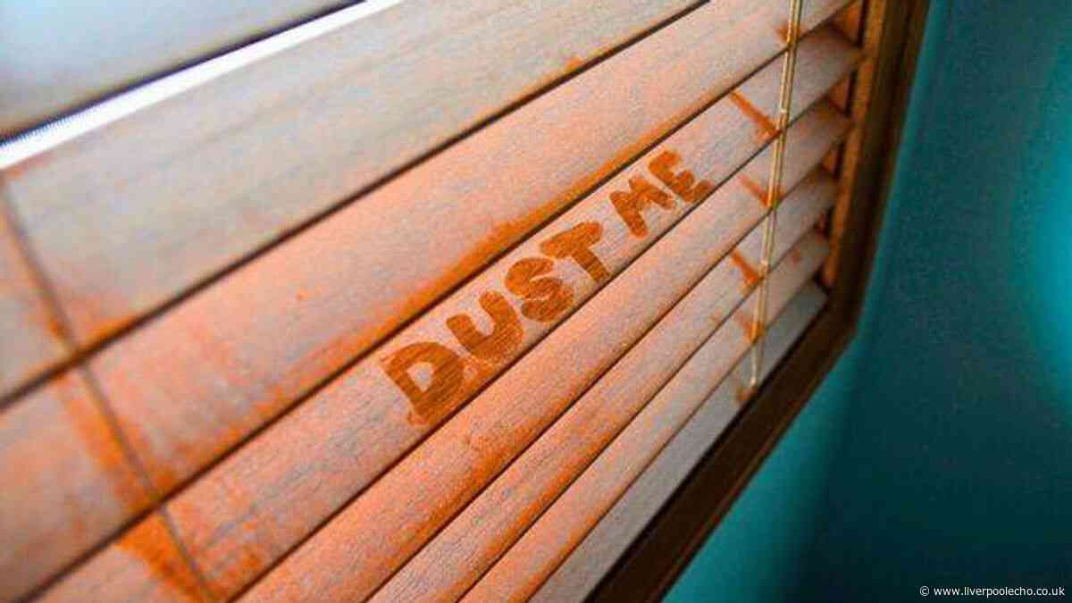 Keep blinds and windows free from dust for weeks with 9p household item