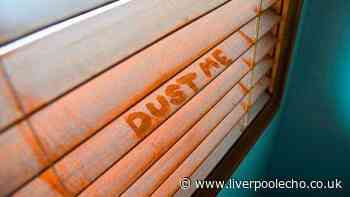 Keep blinds and windows free from dust for weeks with 9p household item