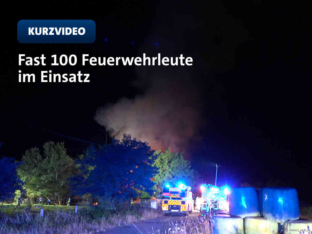 Großeinsatz wegen Feuer auf Bornheimer Baustofflager